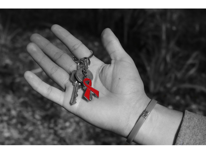 Red Ribbon Key Chain 