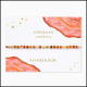 Healing Bracelet - Carnelian (Confidence)