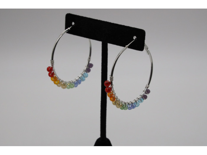 Rainbow Hoop Earrings 